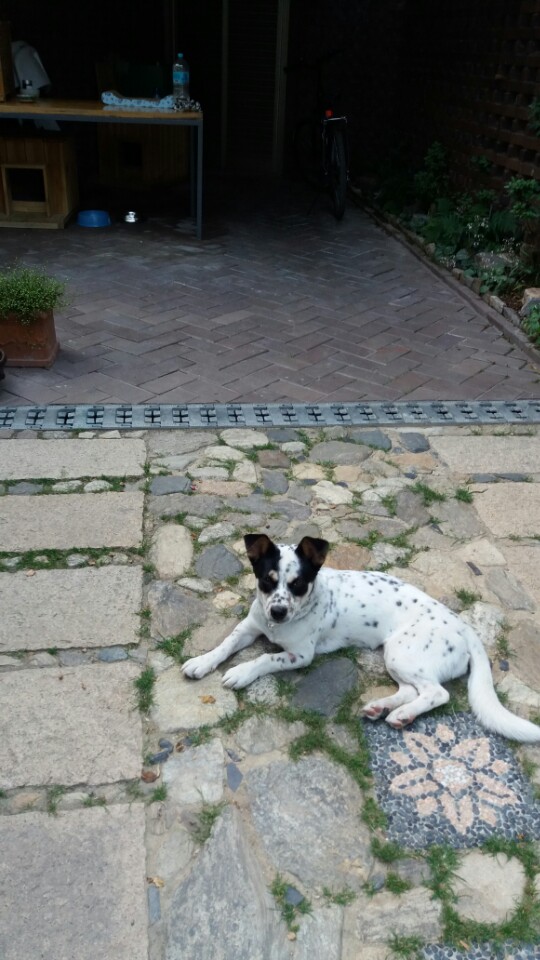 콩이에서 머리로