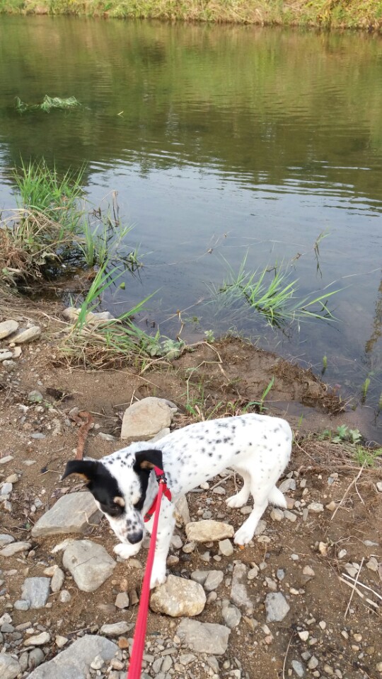 콩이에서 머리로