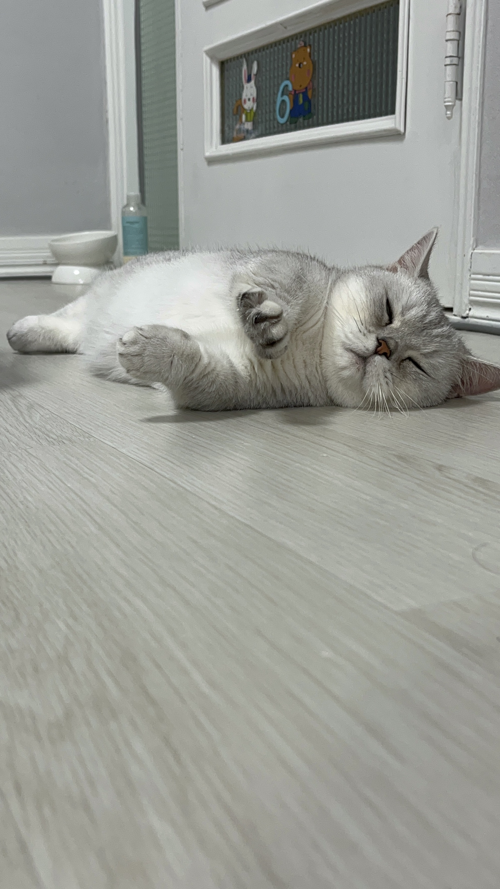 망고(달희)와 함께 벌써 3개월