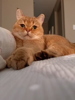 두두 (구 삼월이) 한달 후기 🧡