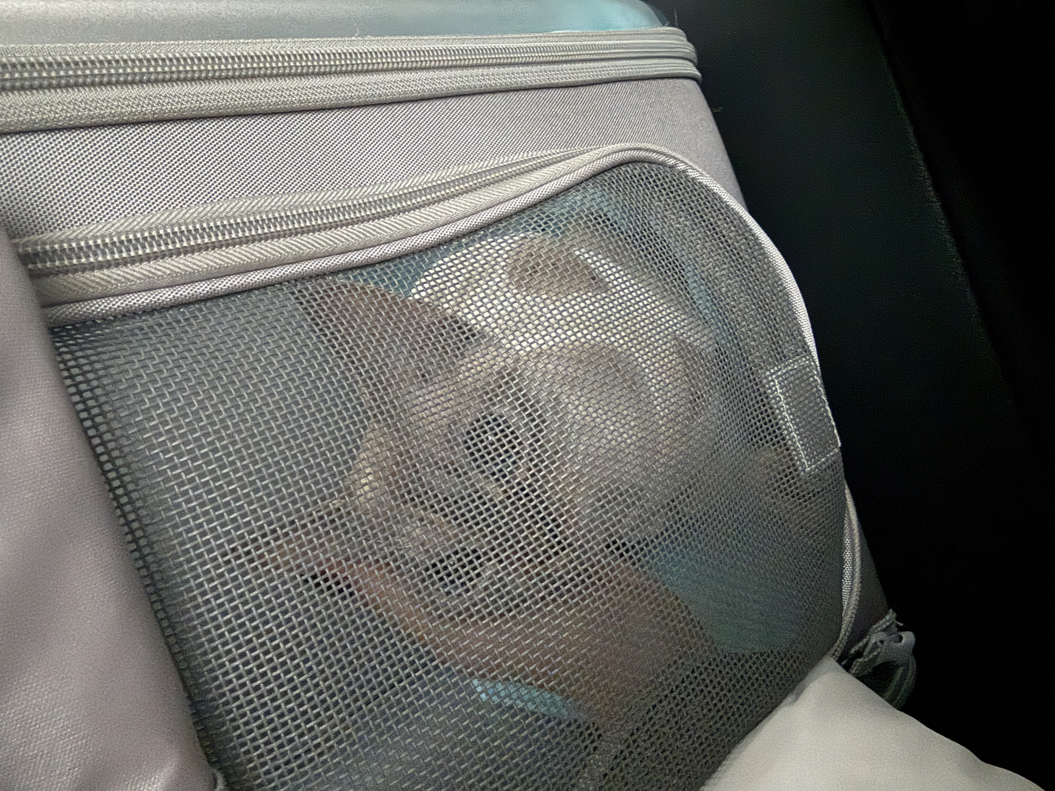 새로의 3개월차♡ 