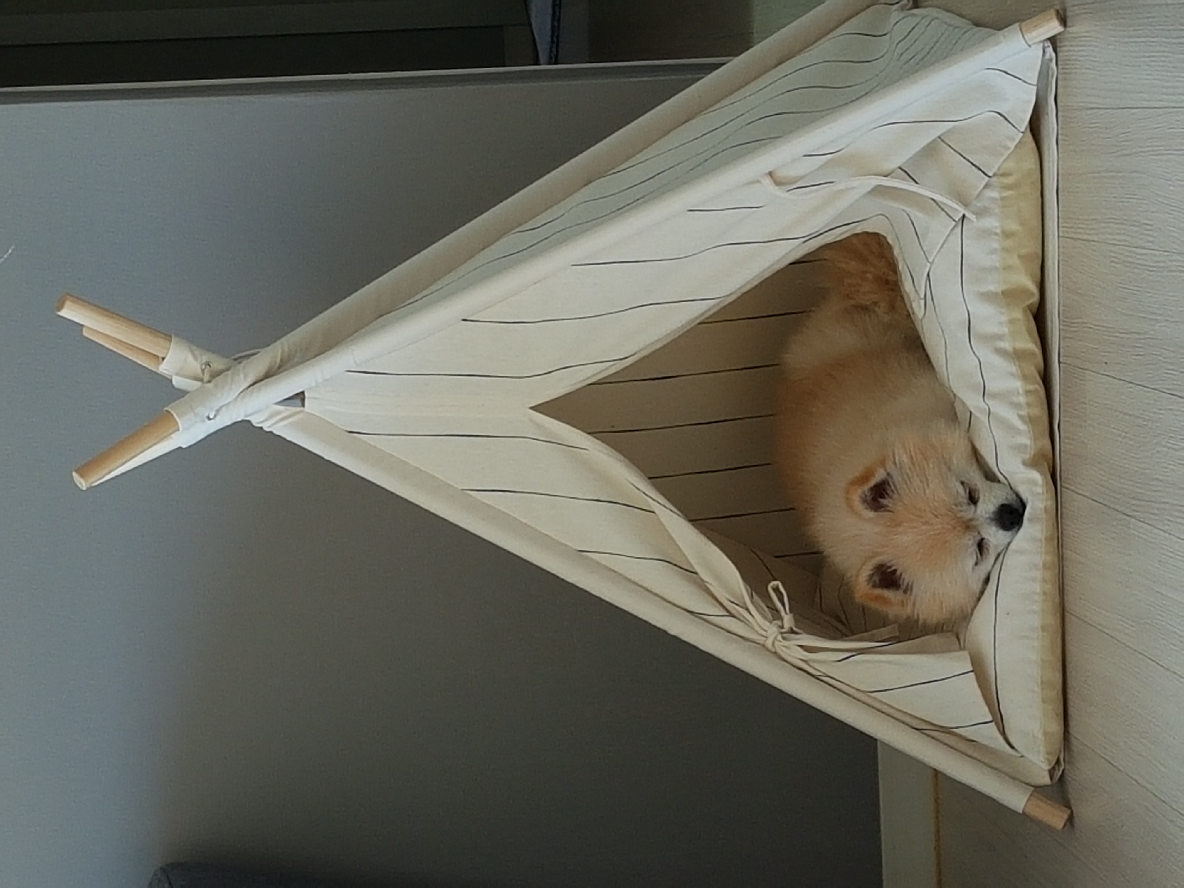 마프랑 소식 전합니다.