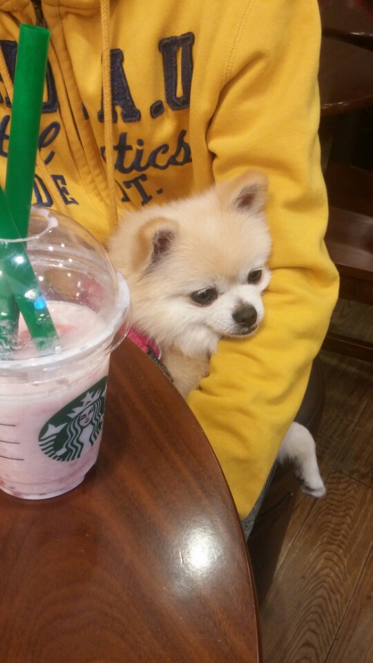 마프랑 소식 전합니다.