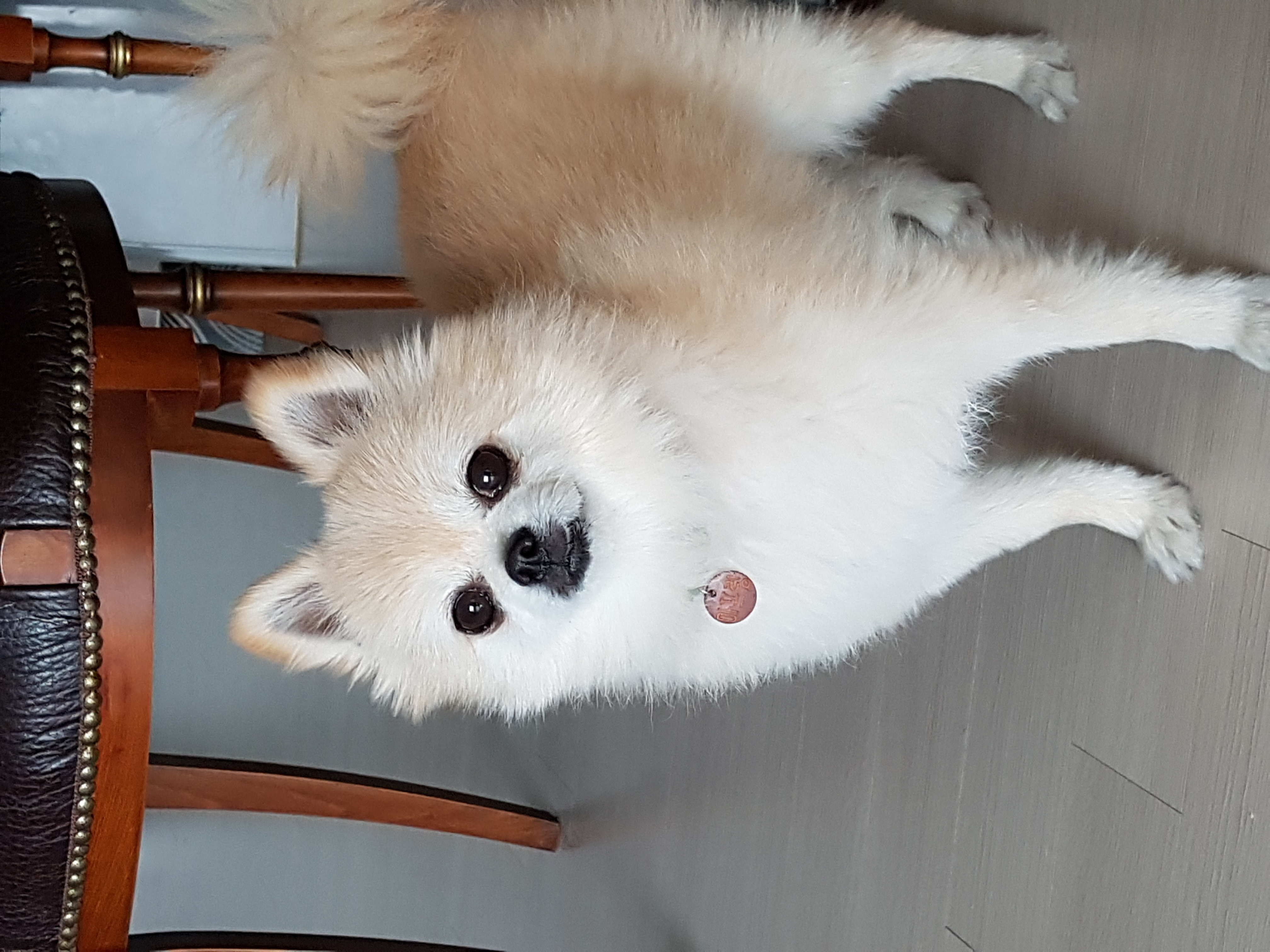 마프랑 소식 전합니다.