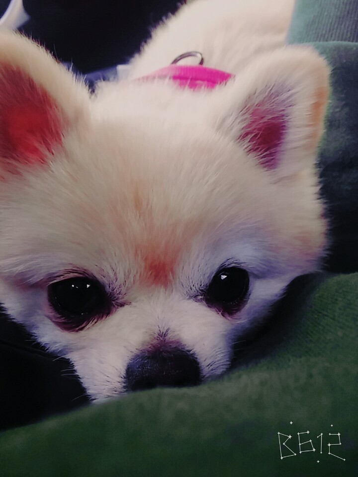 마프랑 소식 전합니다.