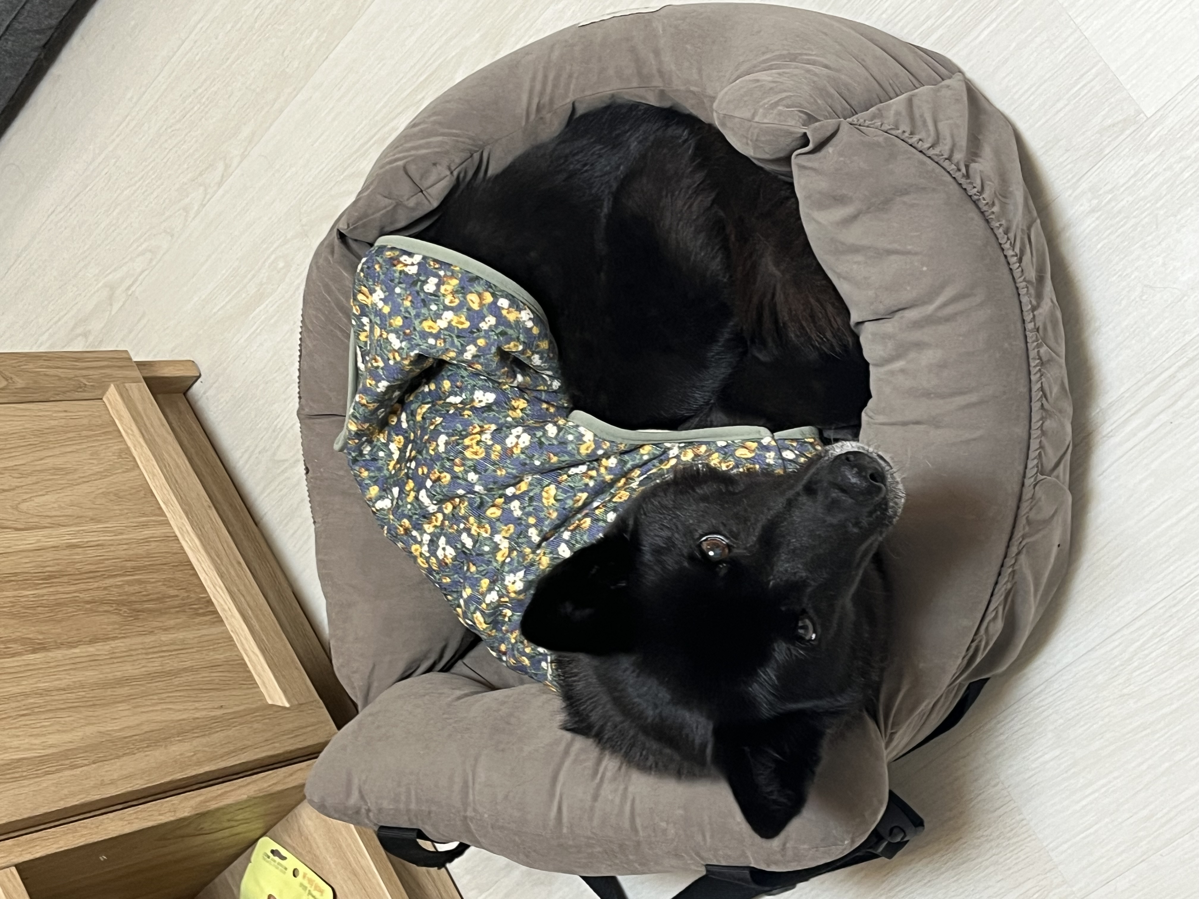 반달이 이쁘게 봐주세요