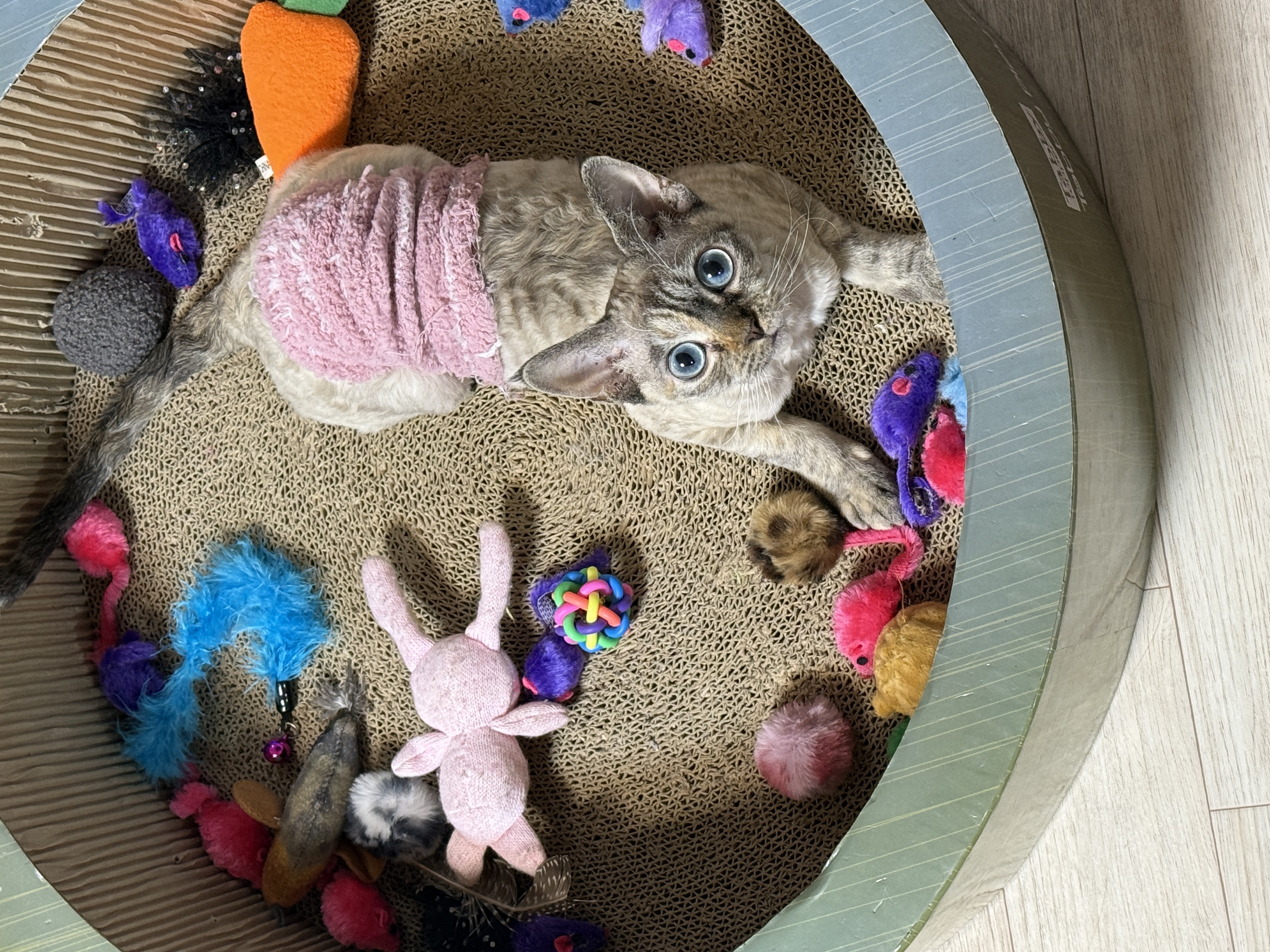 새로의 3개월차♡ 