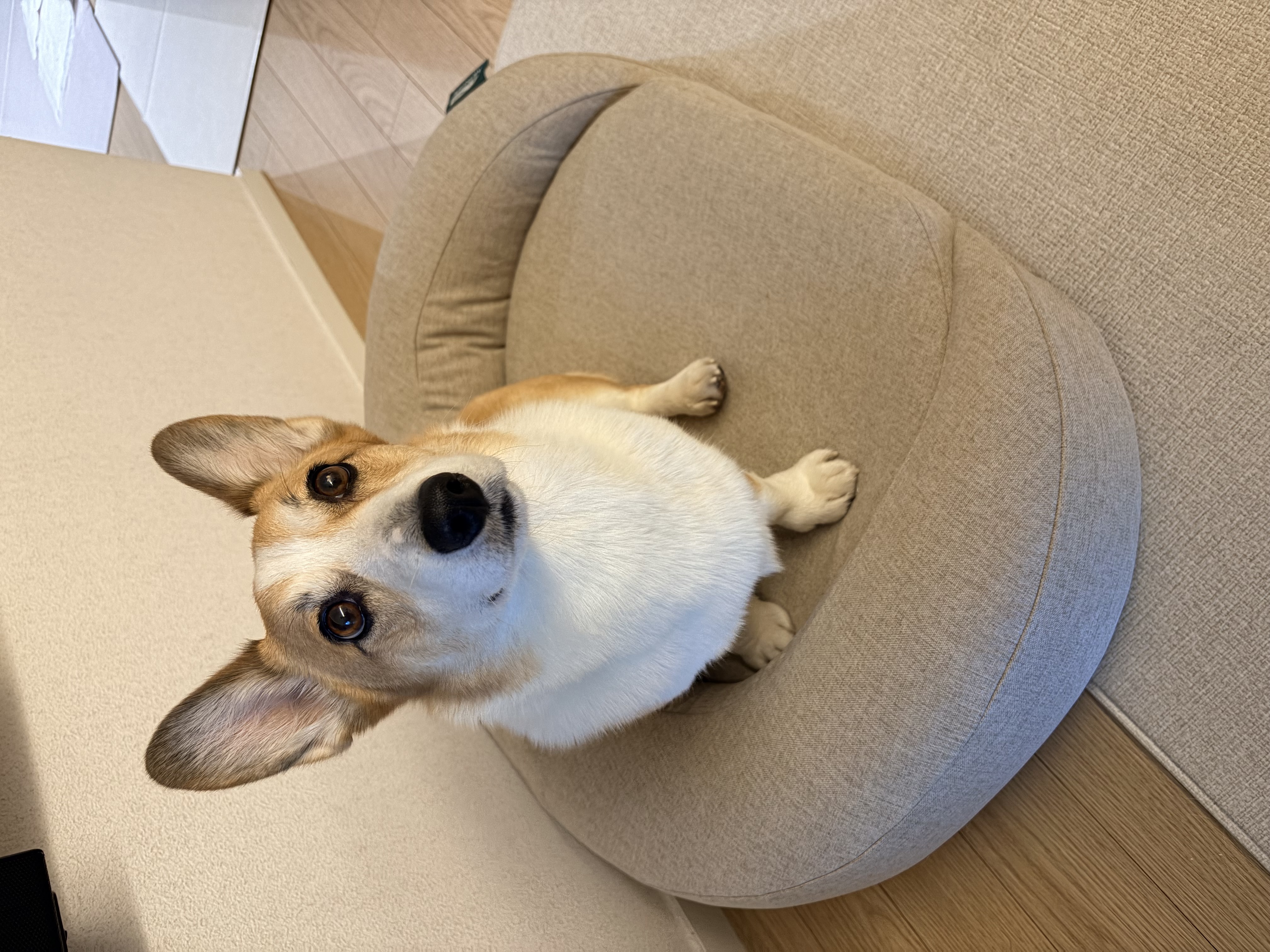 무티(구.수코) 2년차 근황