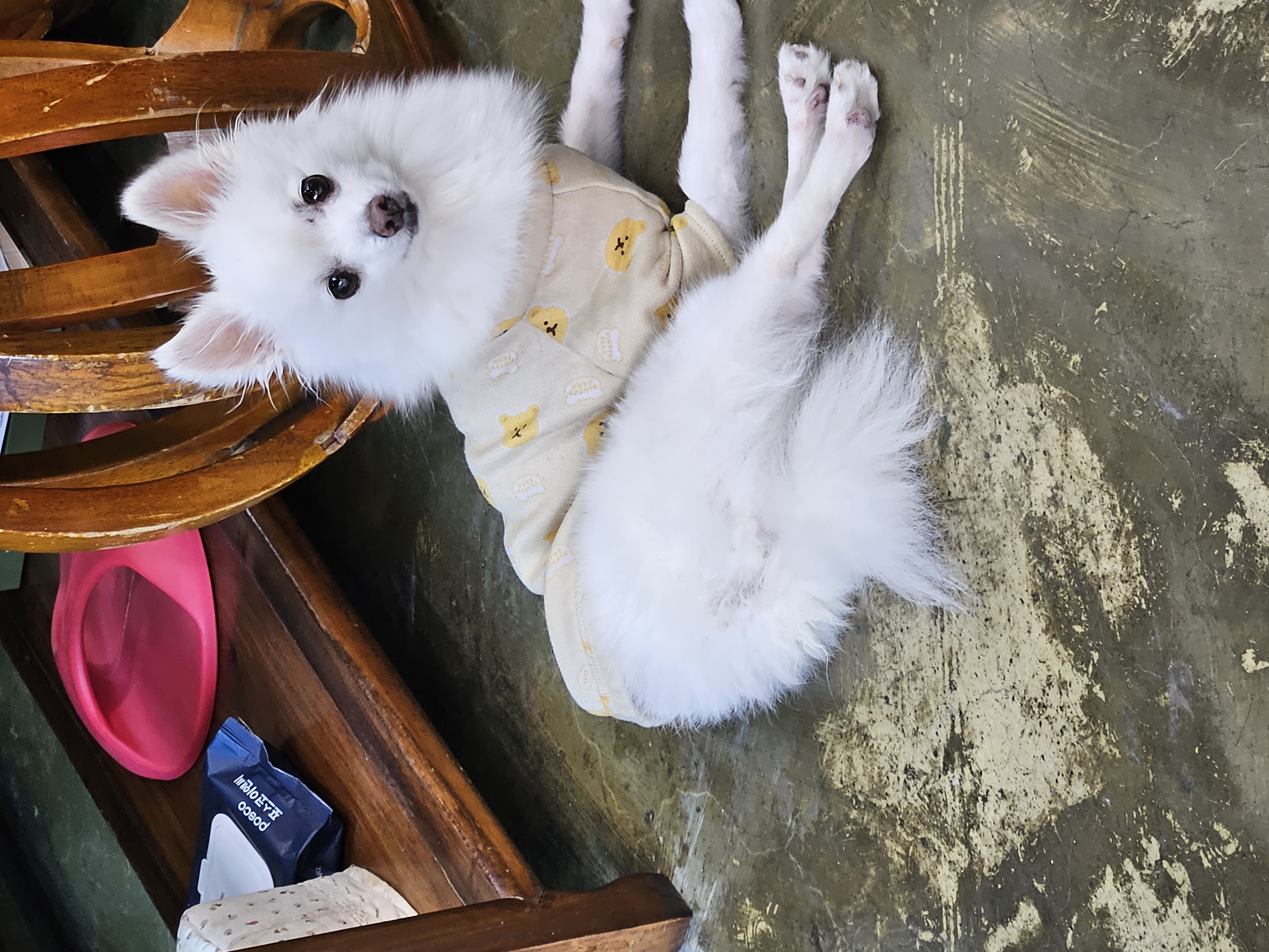 포옹이 잘있어요 친구 가게 놀러왔습니다