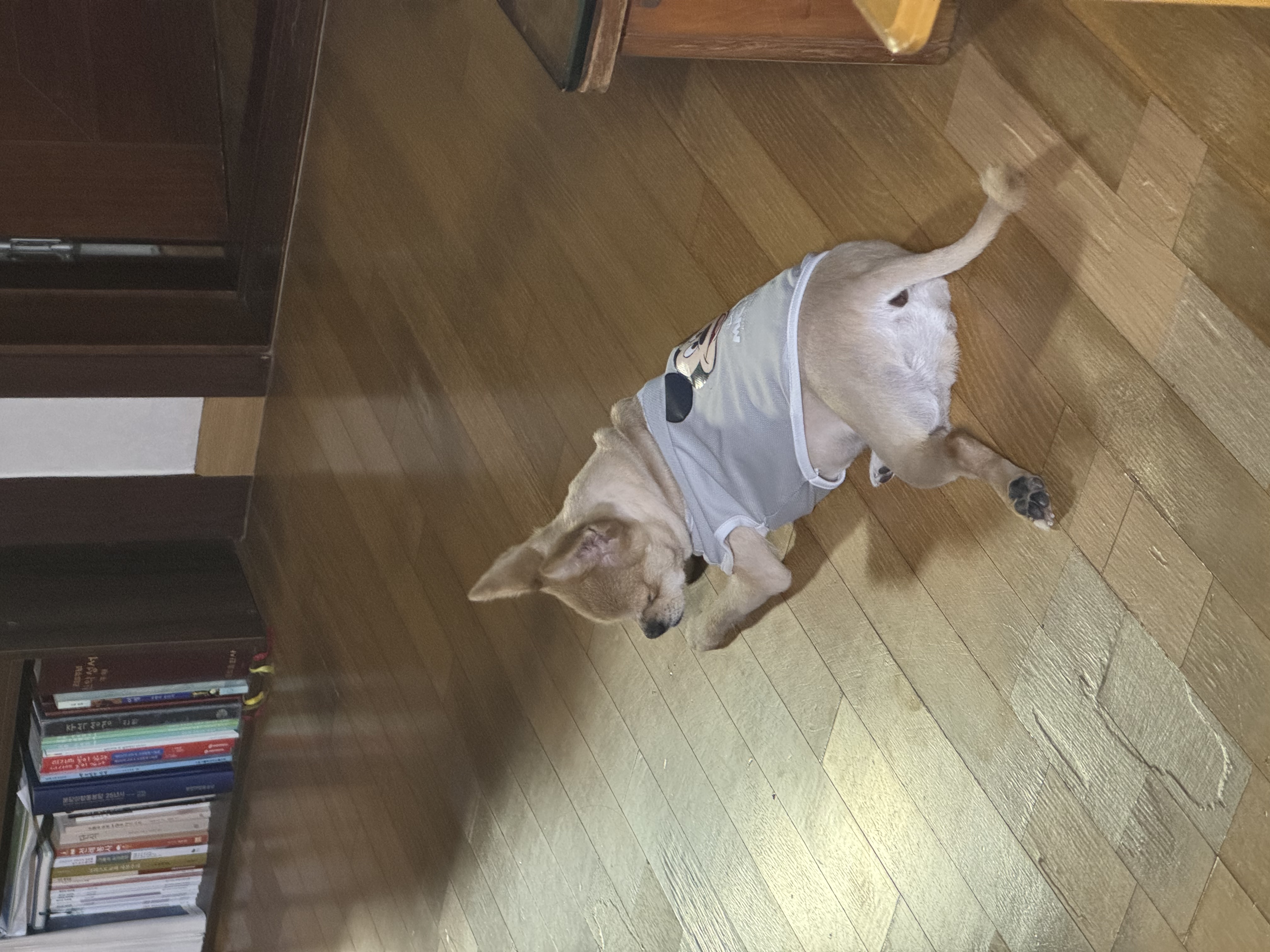 미로(구 오원) 3년 이야기