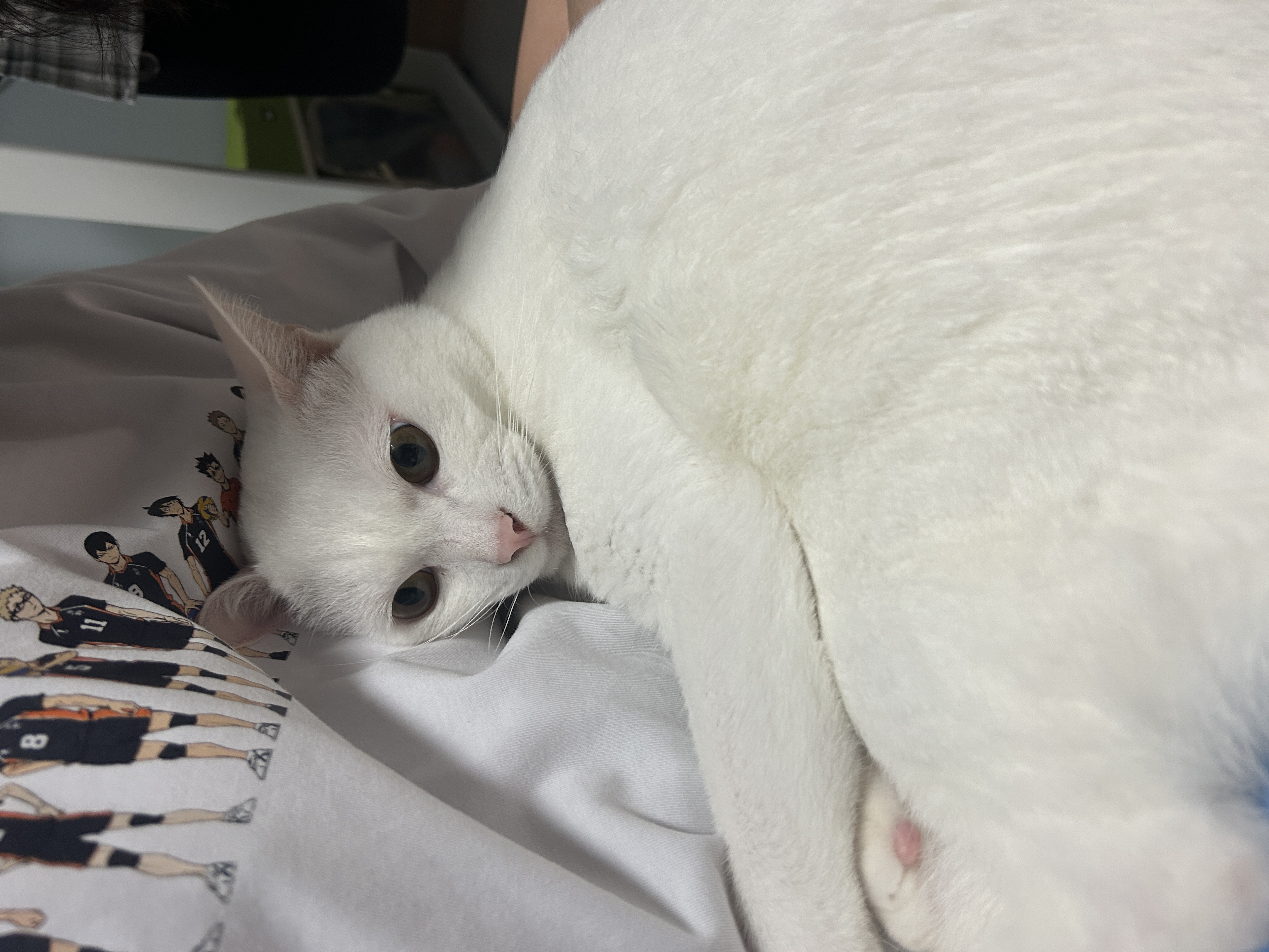 다윈이는 두살!