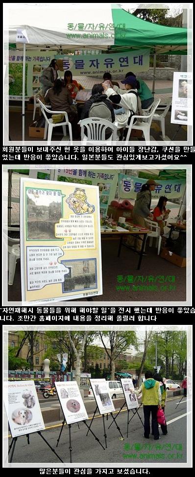 겨울이, 어제 입양 갔어요.