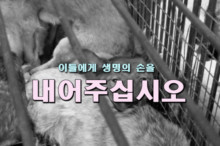 10월달 캠페인 안내