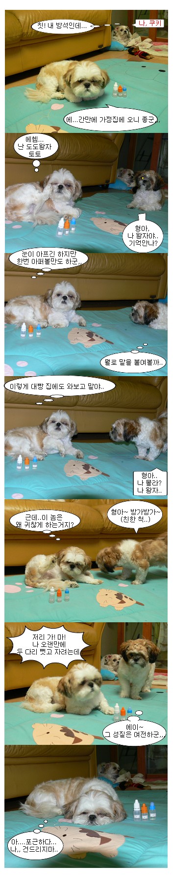 토토어무이~