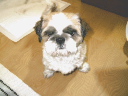 얼짱이 되어 돌아온 동원이^^