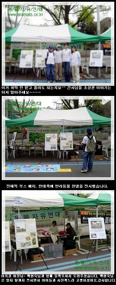 오늘 칠복이 임보 갔습니다.