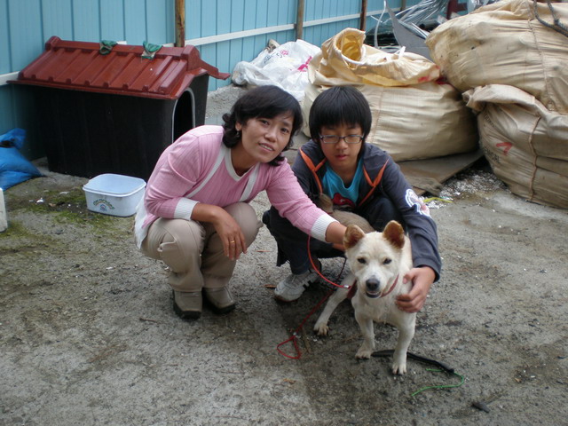 복돌이 배달(?) 잘 끝냈습니다.