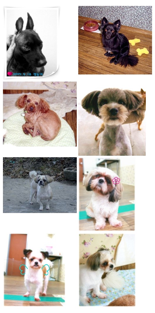 삼실아이들 임보급구 (2차)