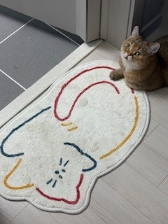 두두 (구 삼월이) 한달 후기 🧡