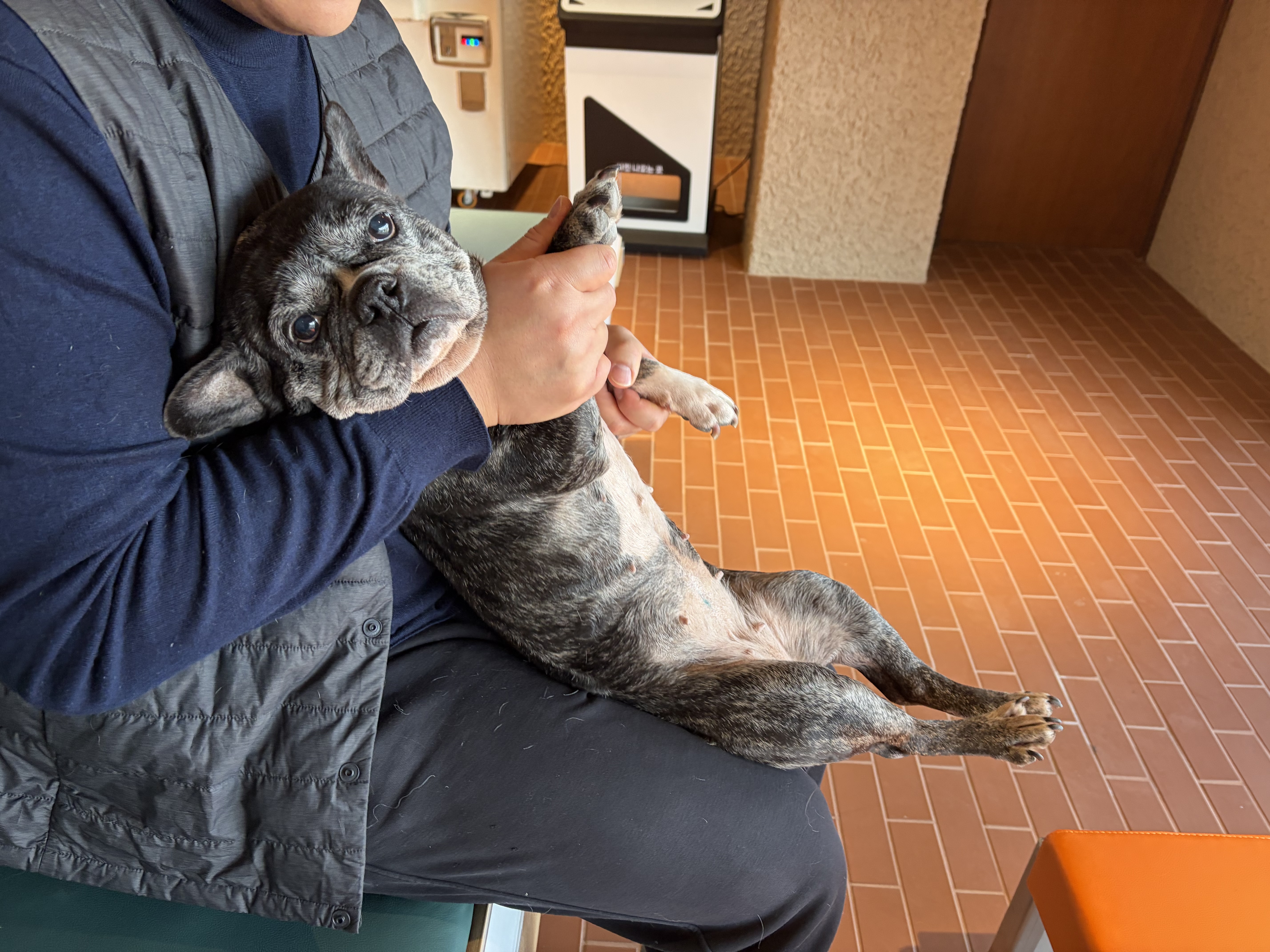 호이네 뽀아네입니다 ^^