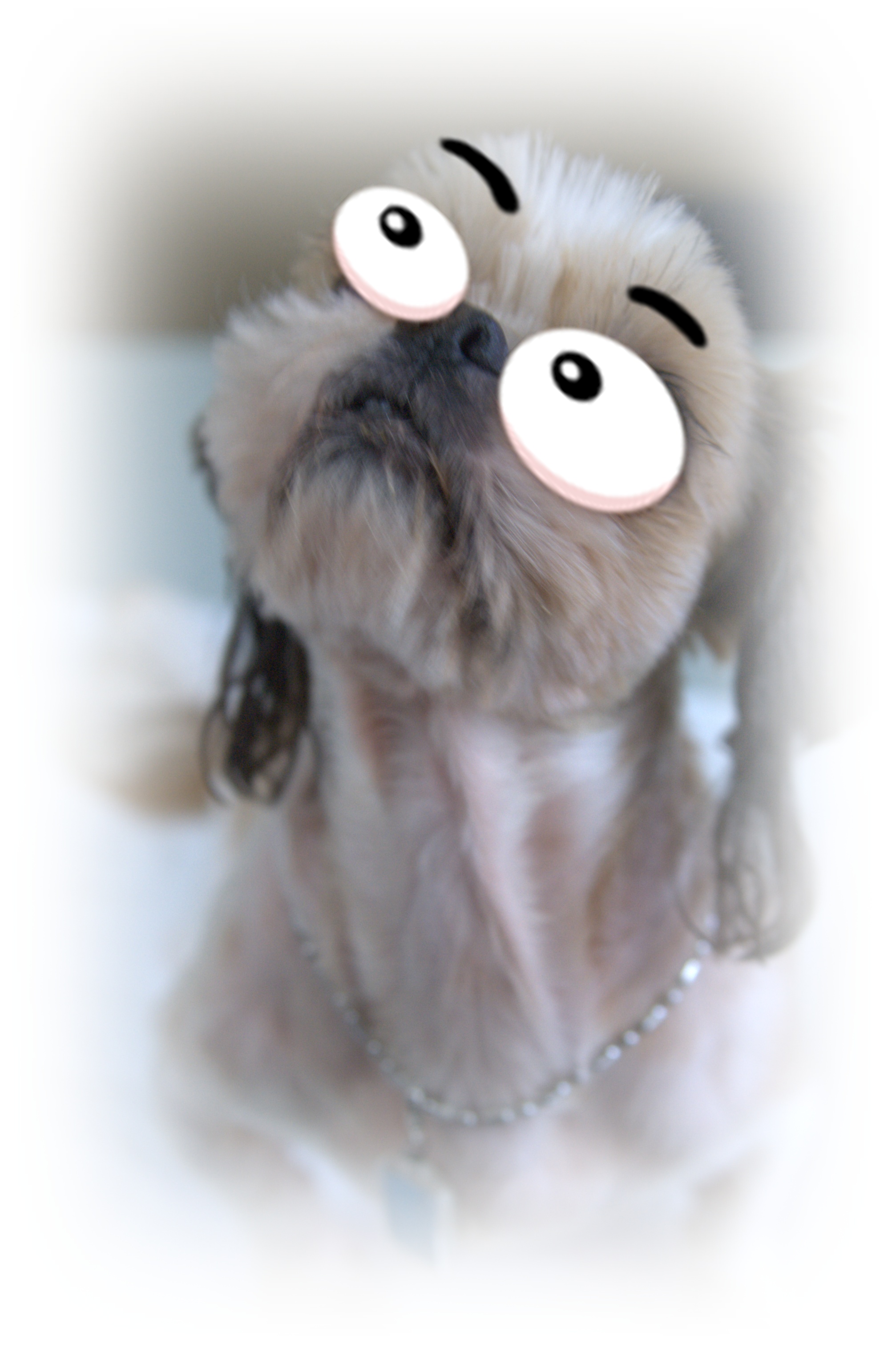 사무실 일손이 부족합니다..