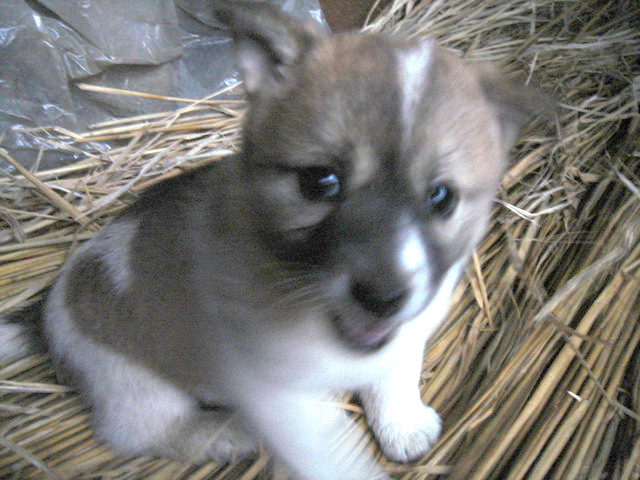 도와주세요.긴글이지만 끝까지 읽어주세요.