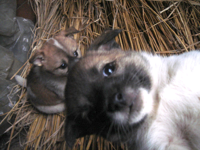도와주세요.긴글이지만 끝까지 읽어주세요.