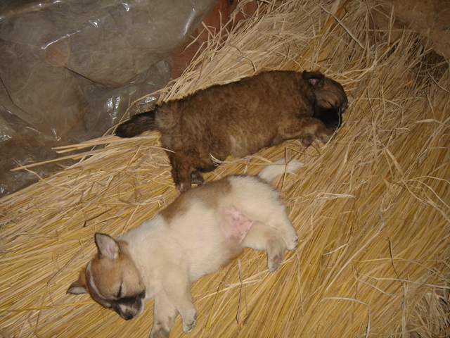 도와주세요.긴글이지만 끝까지 읽어주세요.