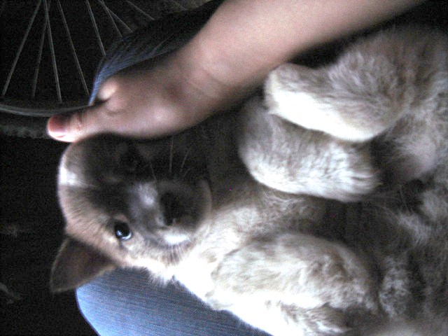 도와주세요.긴글이지만 끝까지 읽어주세요.