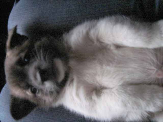 도와주세요.긴글이지만 끝까지 읽어주세요.