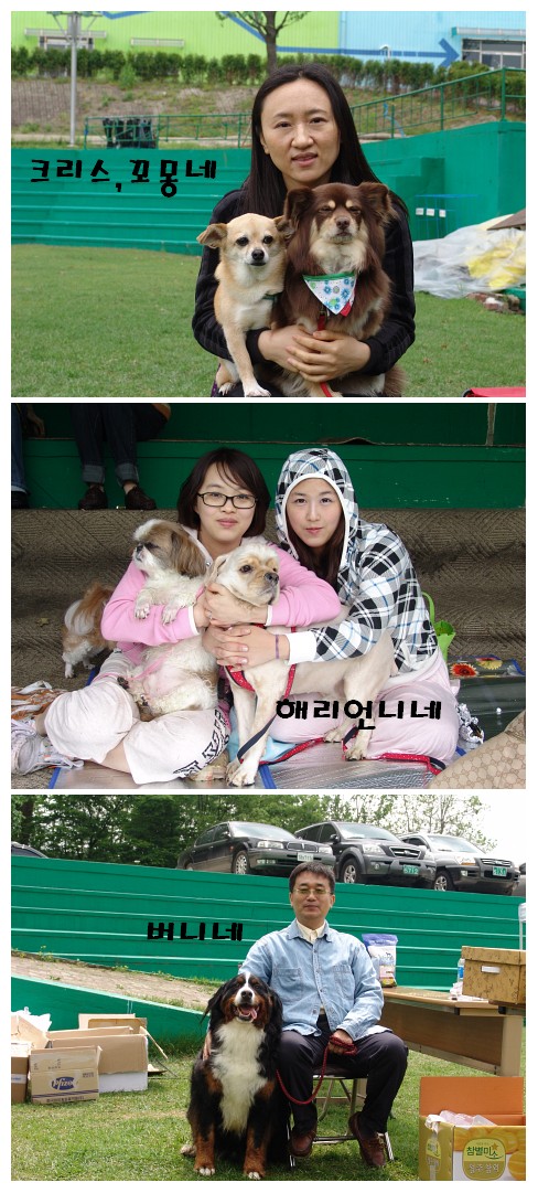 입양동물의날 사진 - 가족별