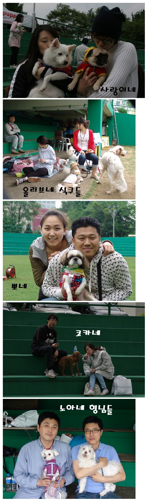 입양동물의날 사진 - 가족별