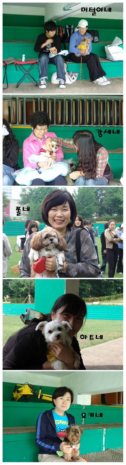 입양동물의날 사진 - 가족별