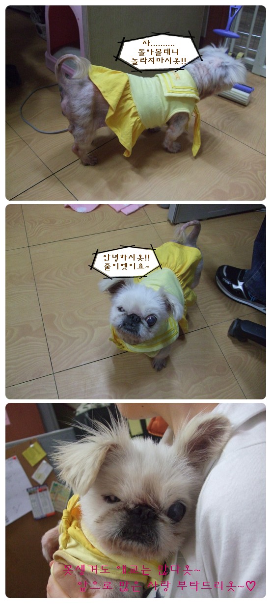 행당동 입소사상 가장 못난이공주 줄리엣 ;;