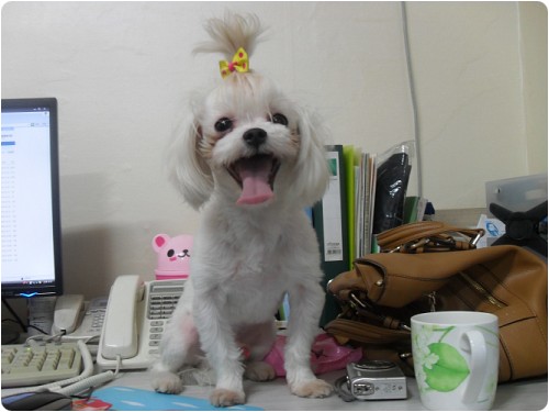 <font color=#ff0000>홈페이지이용에 불편을 드려 죄송합니다.