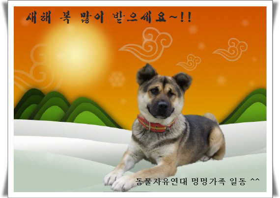[1인 시위] 이경희이사님, 안혜성님.
