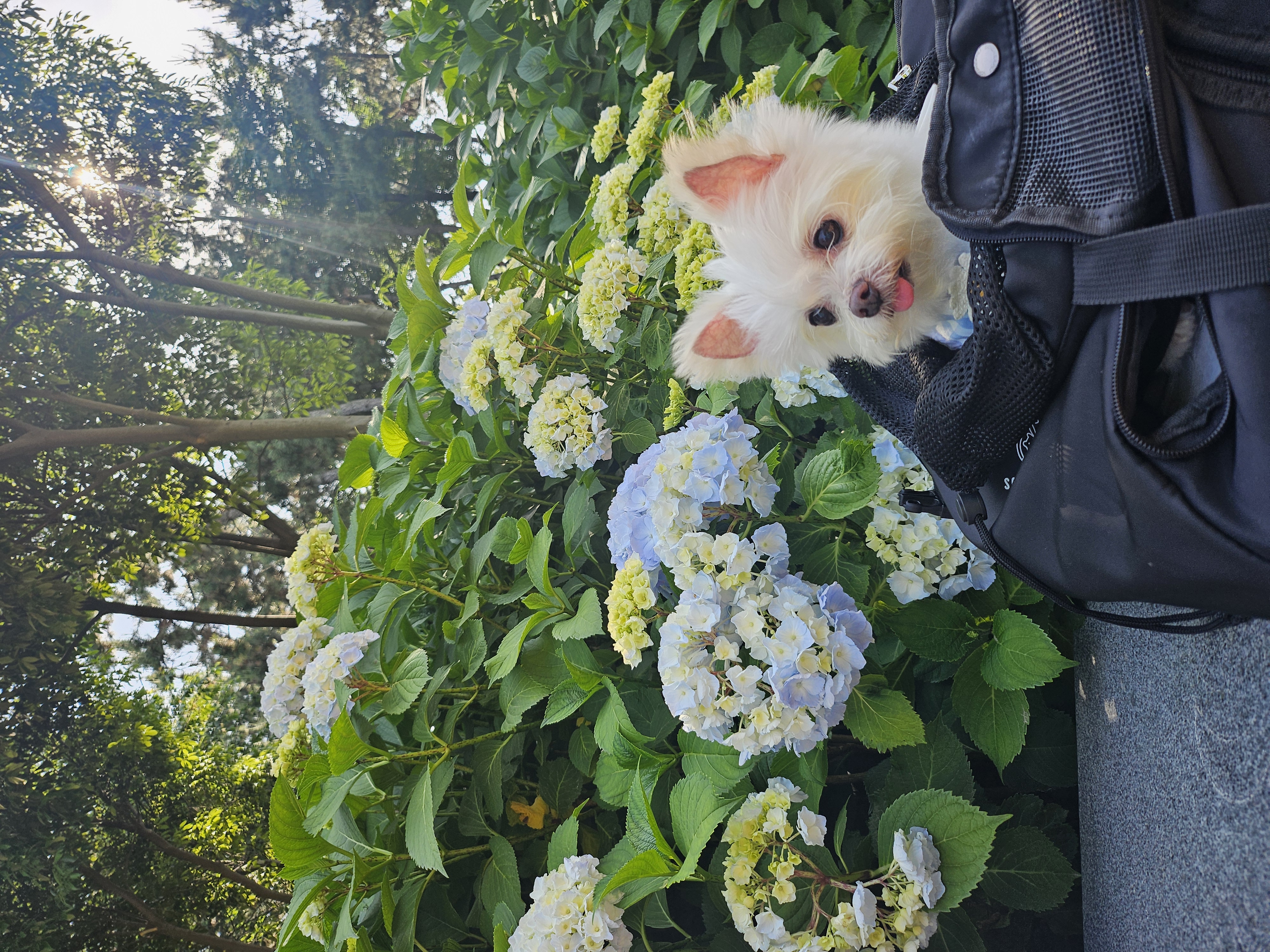 꾸미(익준이) 잘 있습니다 :)