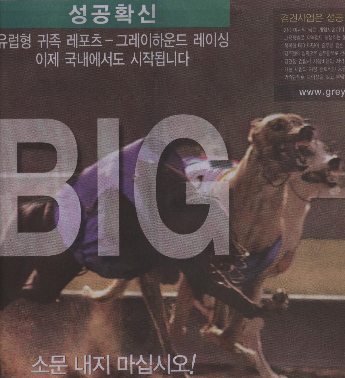 그레이 하운드 경주장면