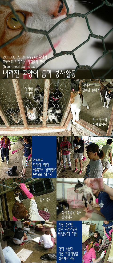 둥물구조협회 사진(프리챌 고양이모임)-퍼옴