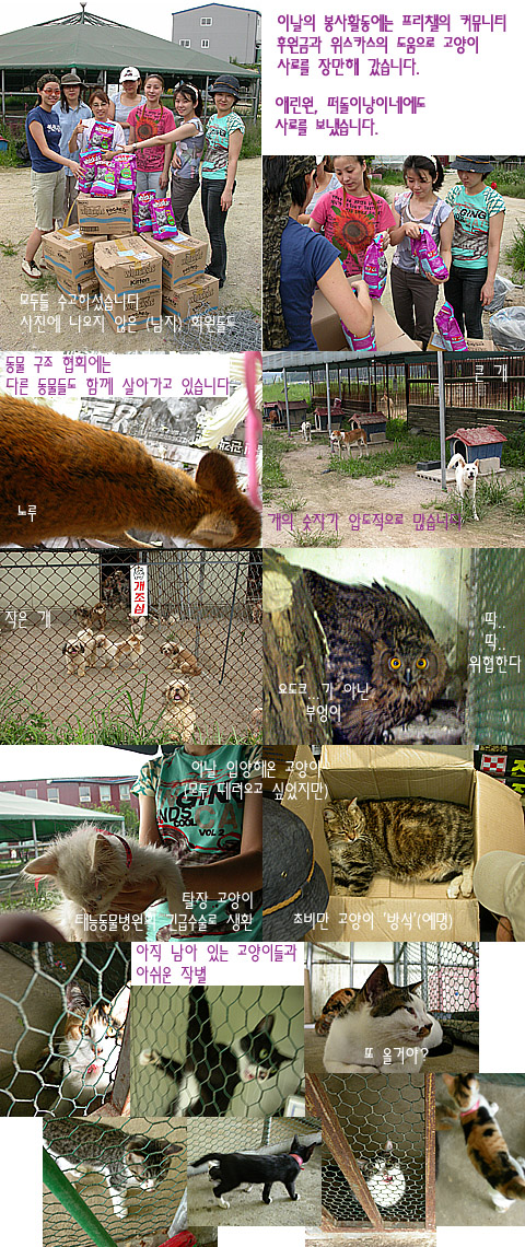아래 사진 이어서