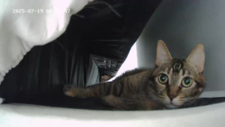 마동이(현 후추)의 일주일 이야기