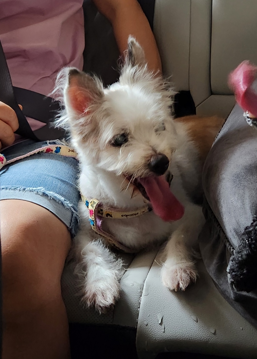 카이를 기억하실까요?