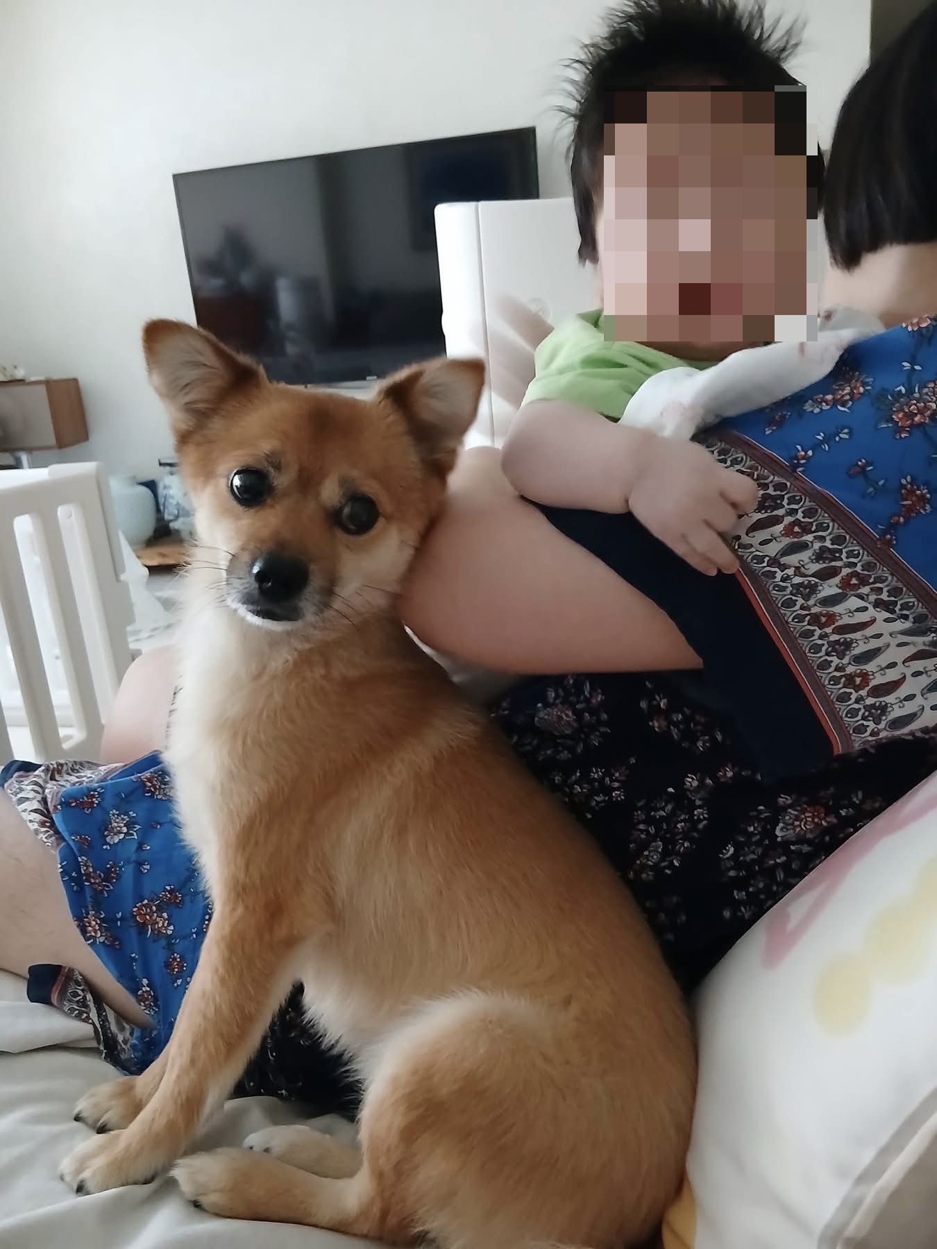 [해외입양] 캐나다 토론토에서 전해온 '달님이' 소식💌