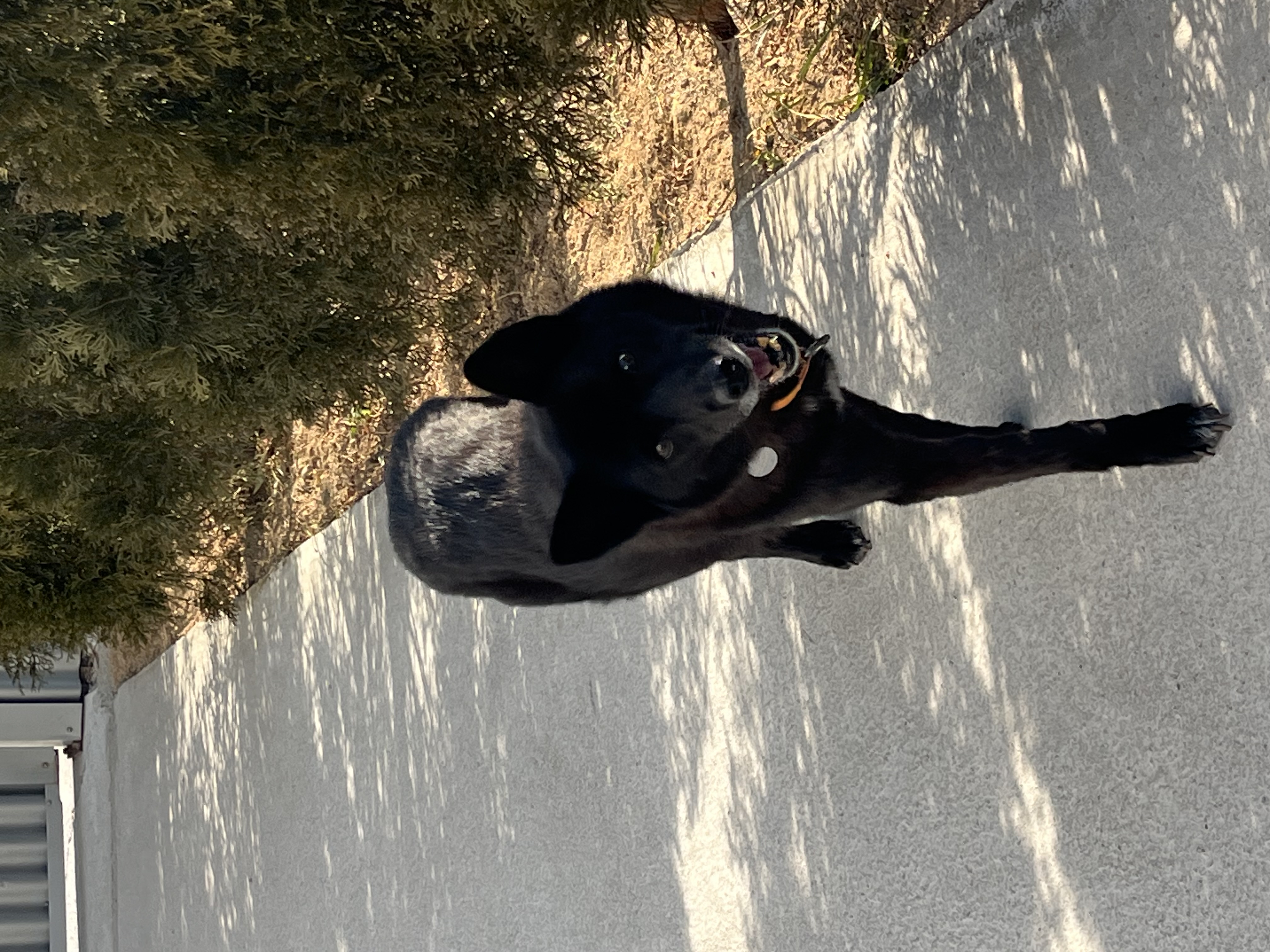 반달이 케일이 경주여행