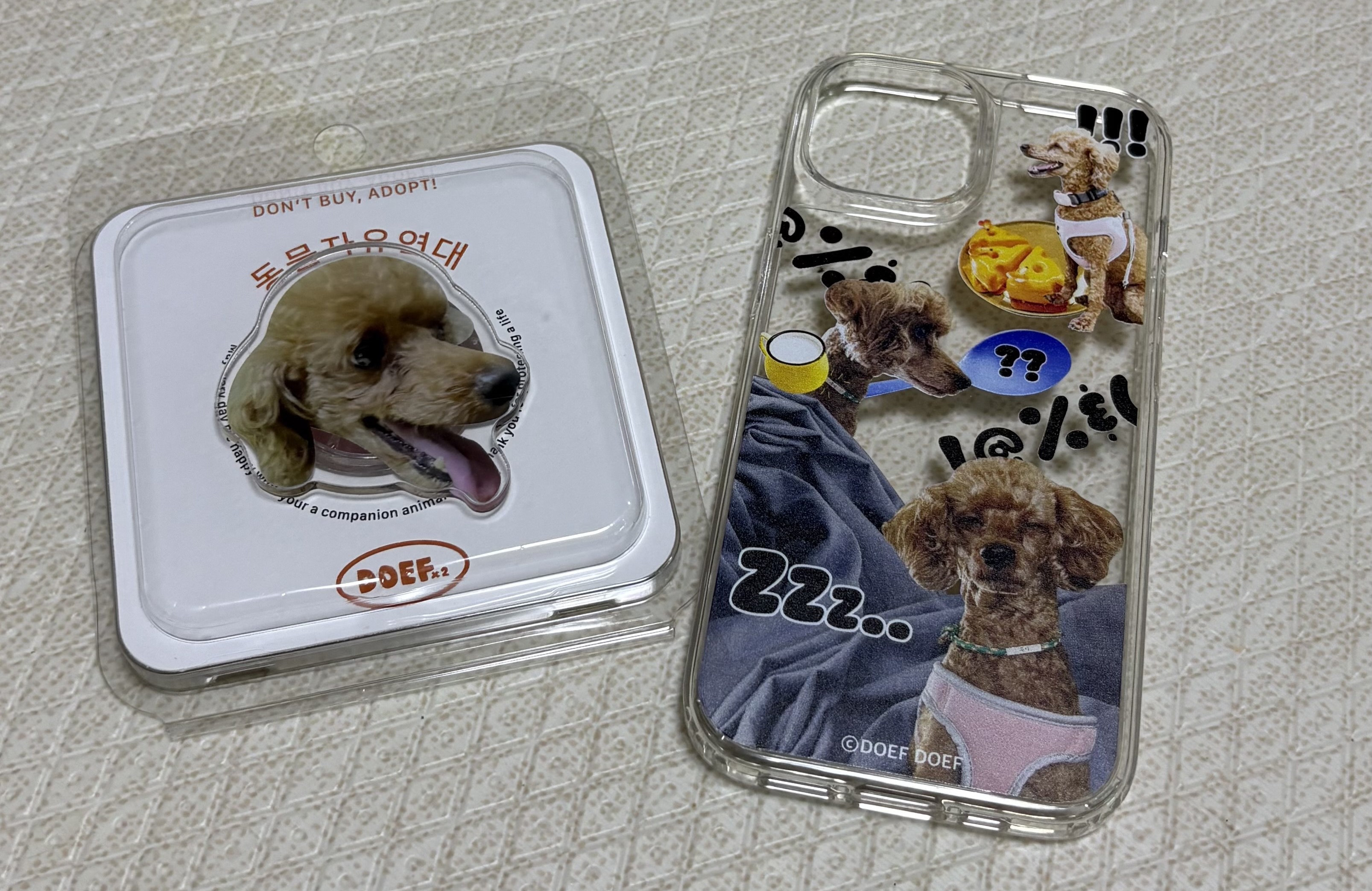 보사의 첫 가족여행~~