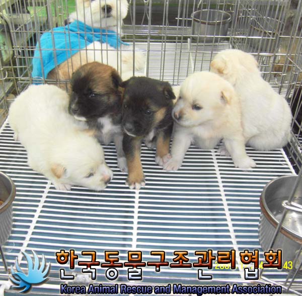 너무 급해서요 .우리아가들 꼭 따뜻한 가족만나길...