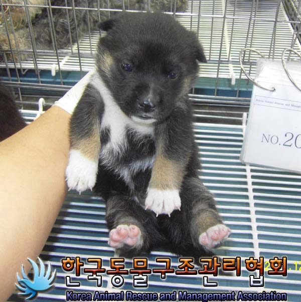 너무 급해서요 .우리아가들 꼭 따뜻한 가족만나길...