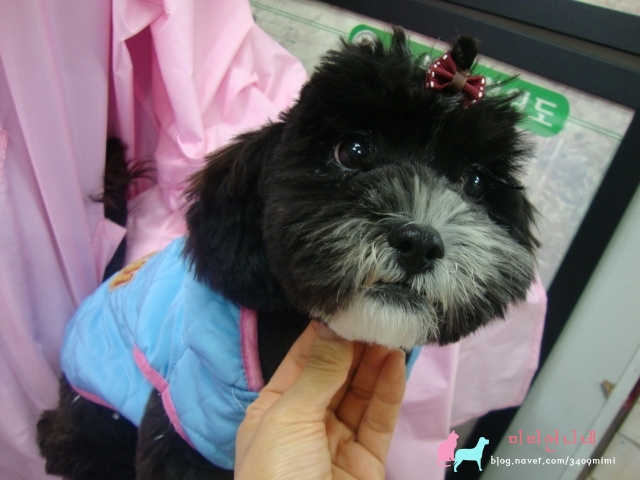 너무 급해서요 .우리아가들 꼭 따뜻한 가족만나길...