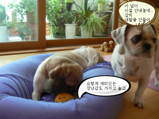 답변