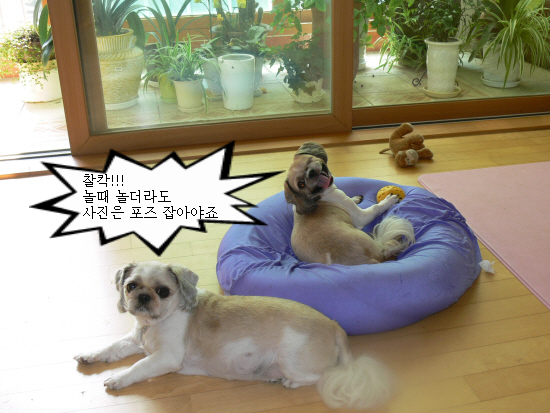답변